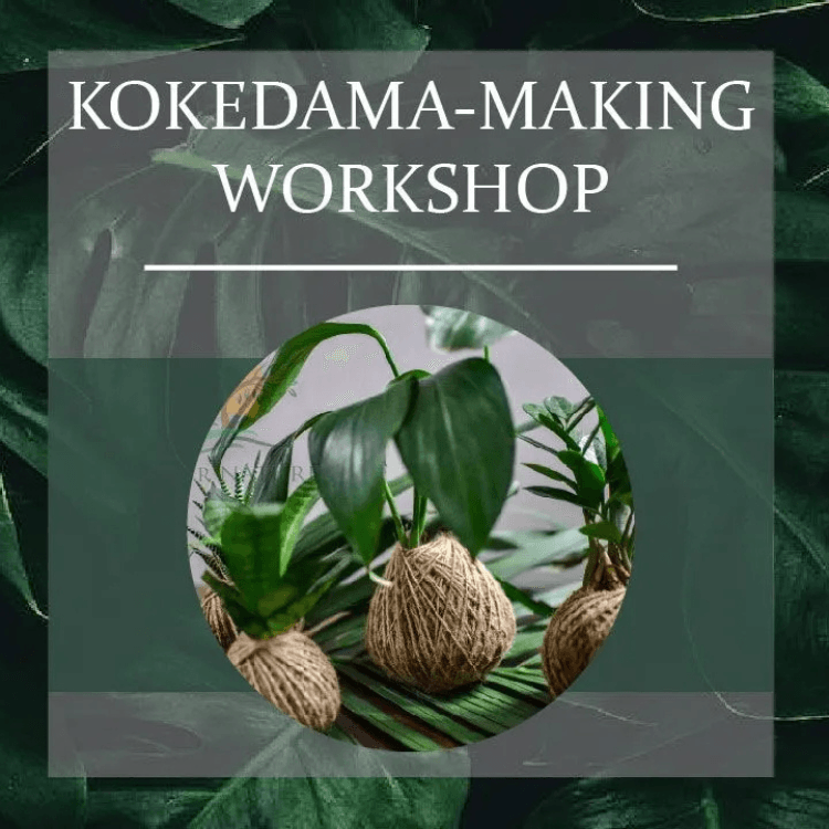 Blog cover