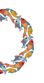 Shape Image