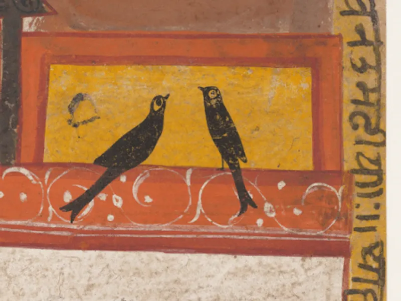 Indian birds in Rajasthani Miniatures