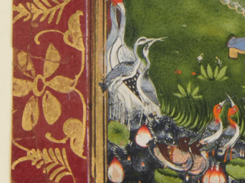Indian birds in Rajasthani Miniatures