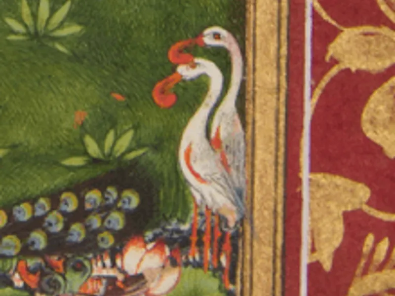 Indian birds in Rajasthani Miniatures