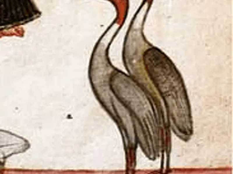Indian birds in Rajasthani Miniatures