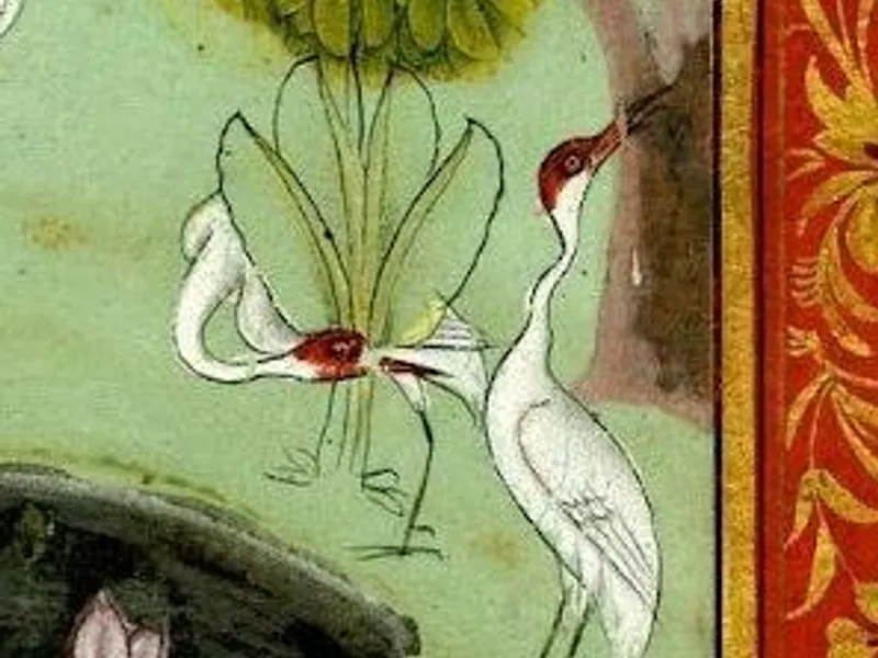 Indian birds in Rajasthani Miniatures