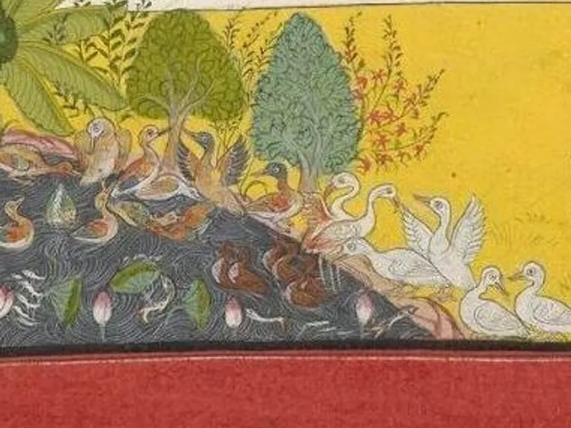 Indian birds in Rajasthani Miniatures