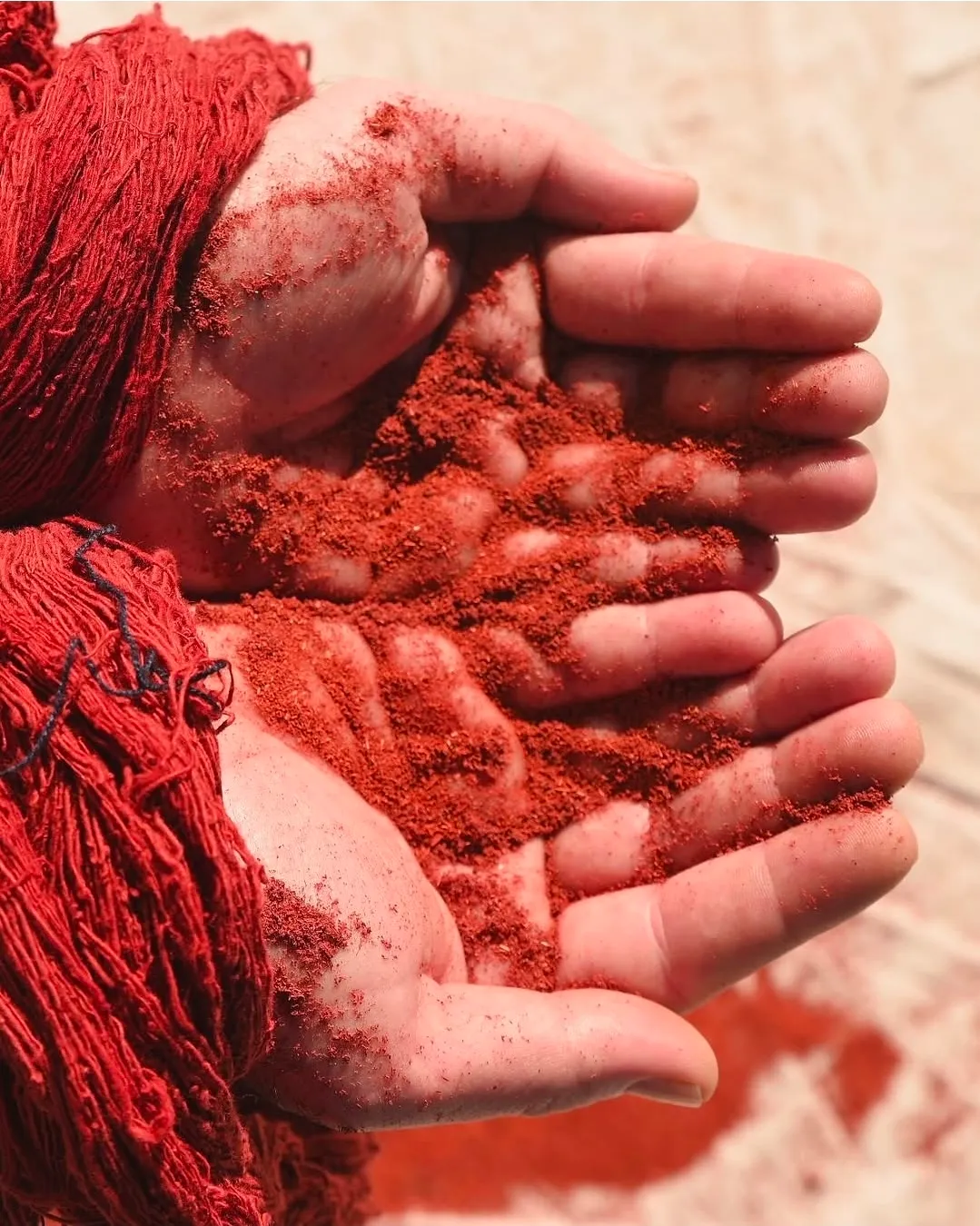 Hands on Natural Dyeing Tie & Dye Art Workshop