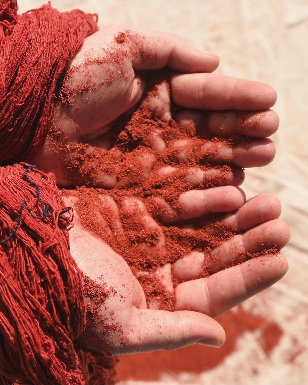 Hands on Natural Dyeing Tie & Dye Art Workshop