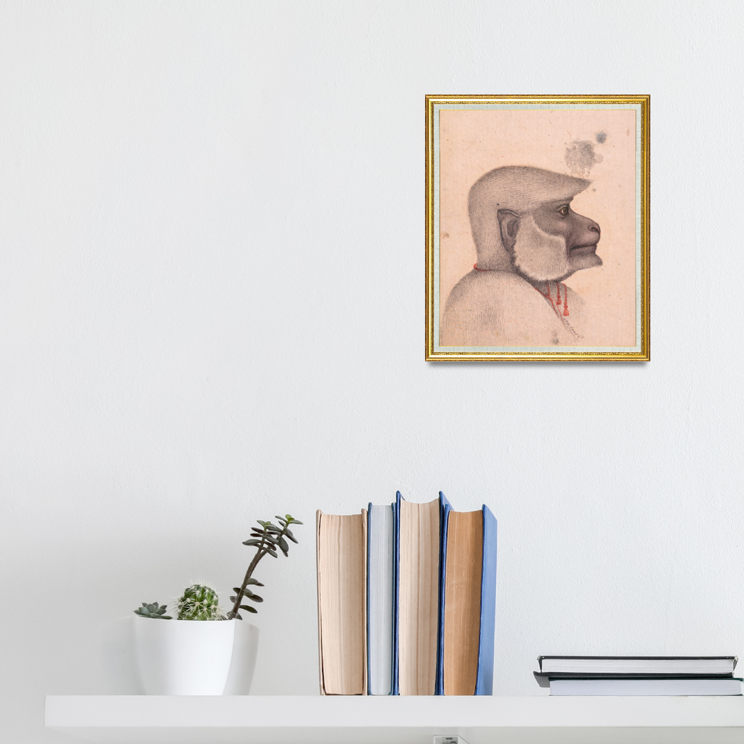 Profile of the Quiet Monkey