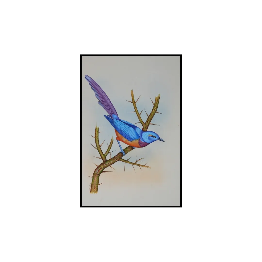 Blue Perch by Jaggu Prasad