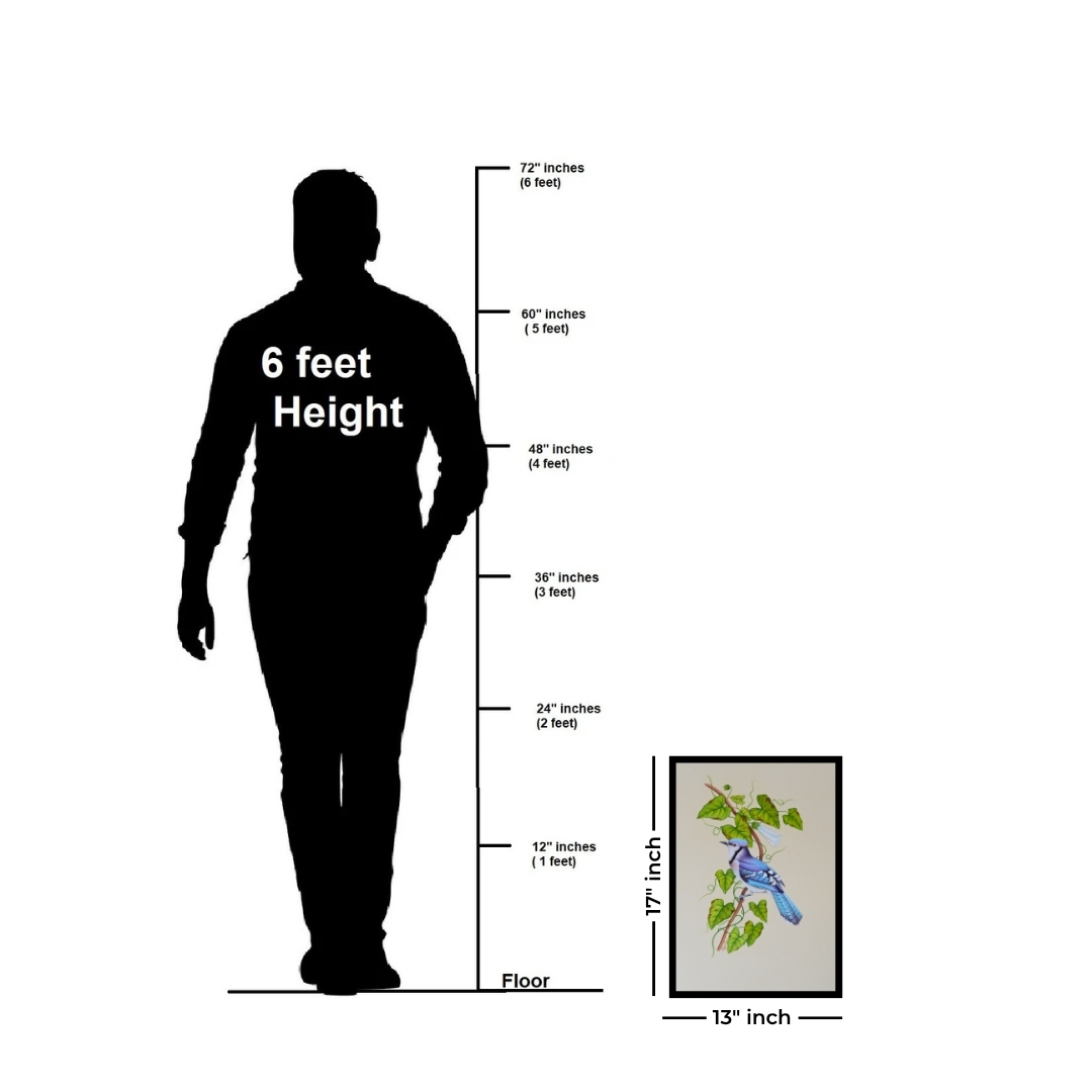 Vine Jay by Jaggu Prasad