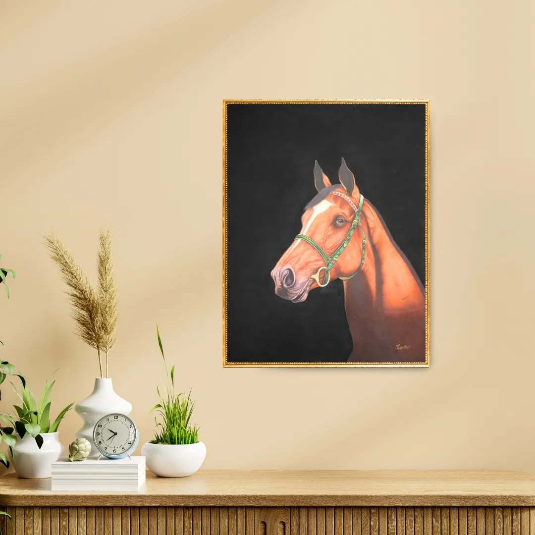 Equine Valor