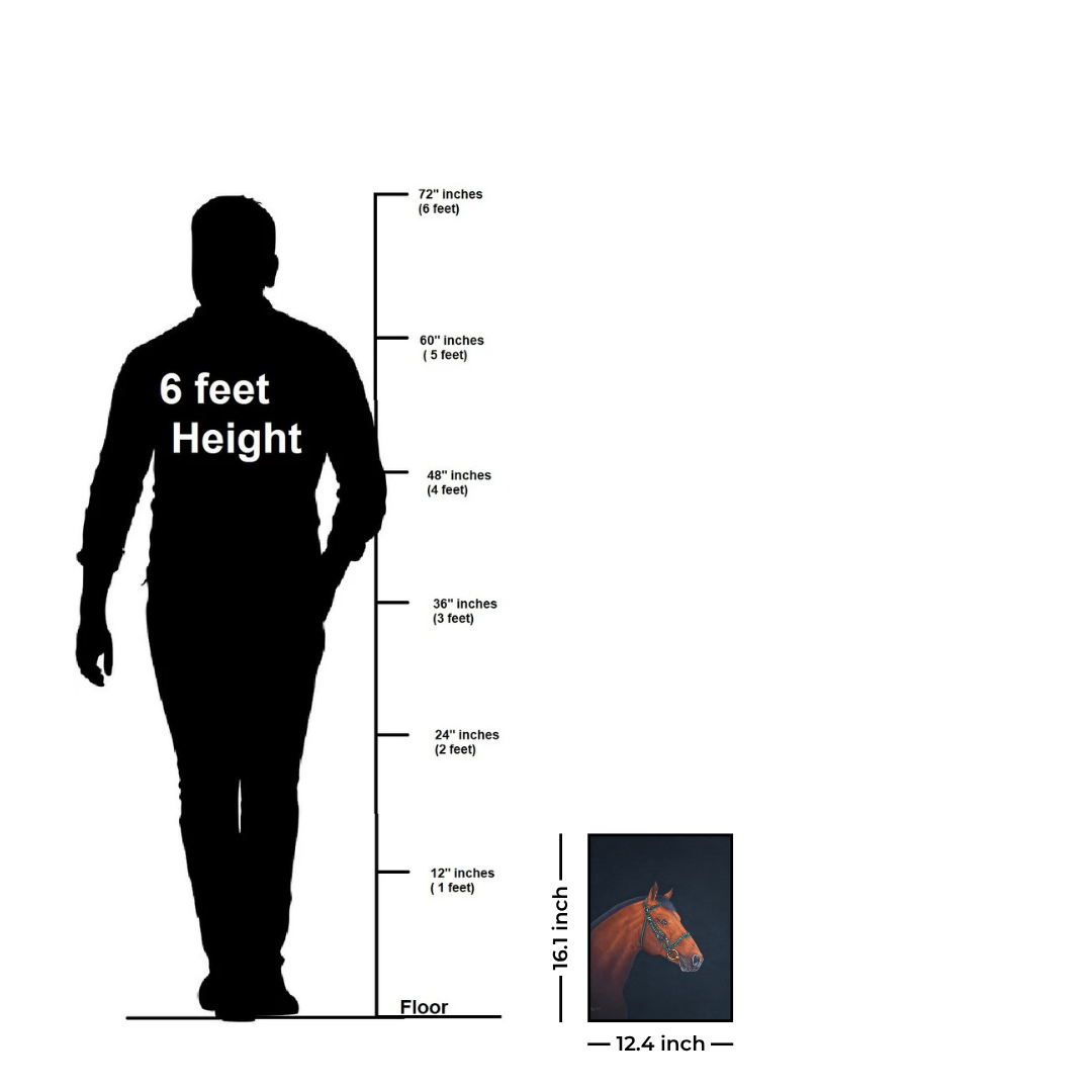 Courage in Stillness