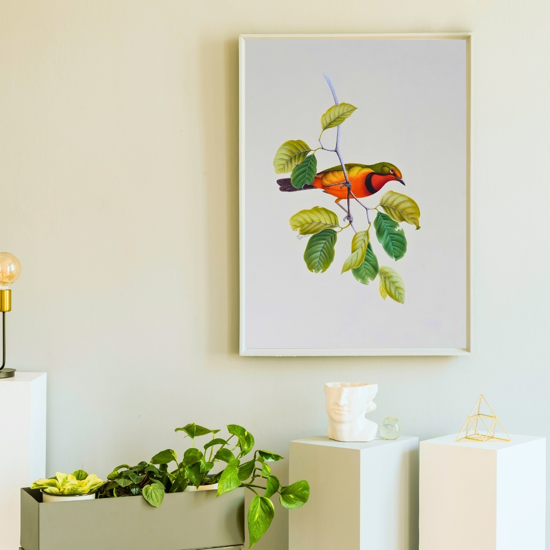 Amber Rest by Jaggu Prasad