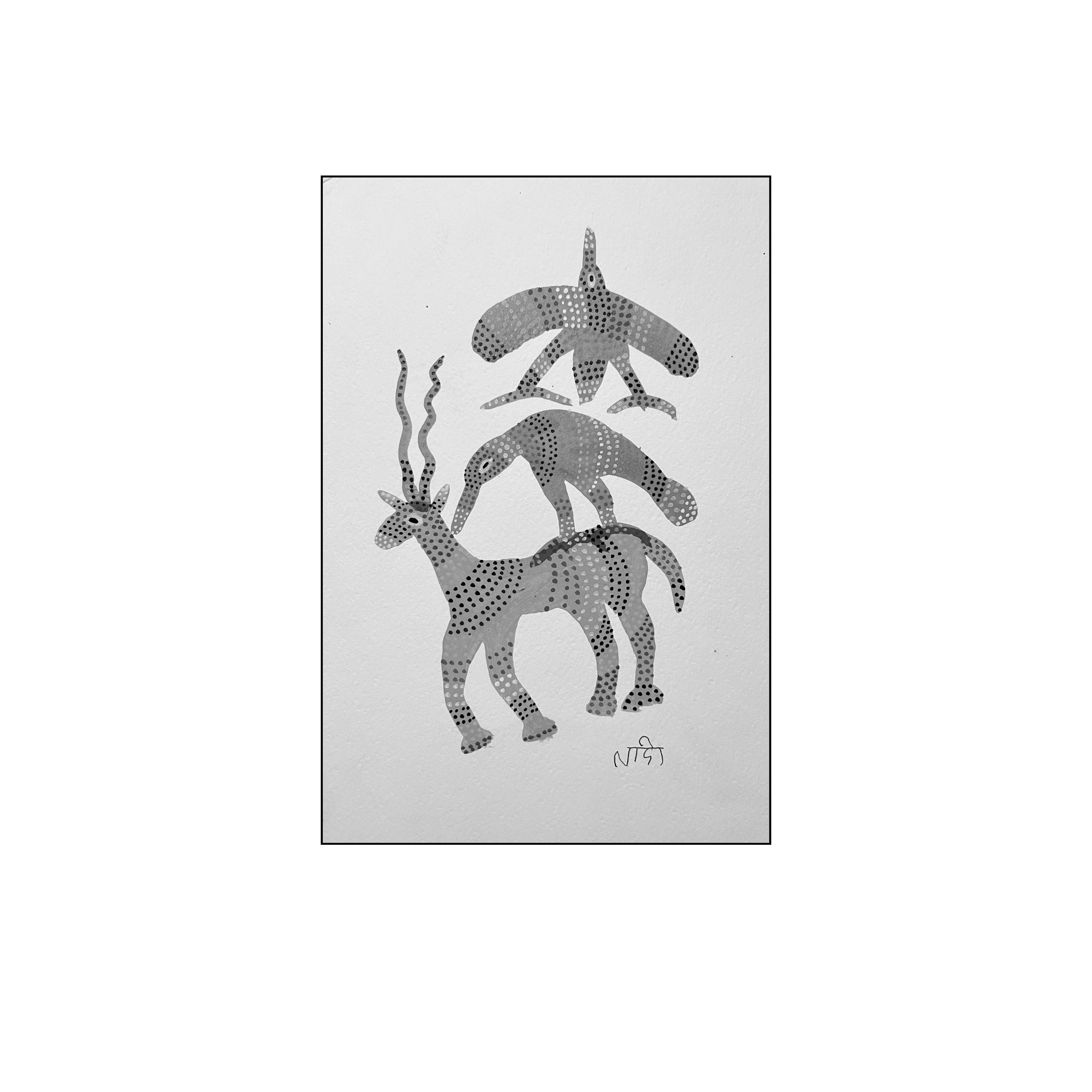 Inter-Relationship of Animals