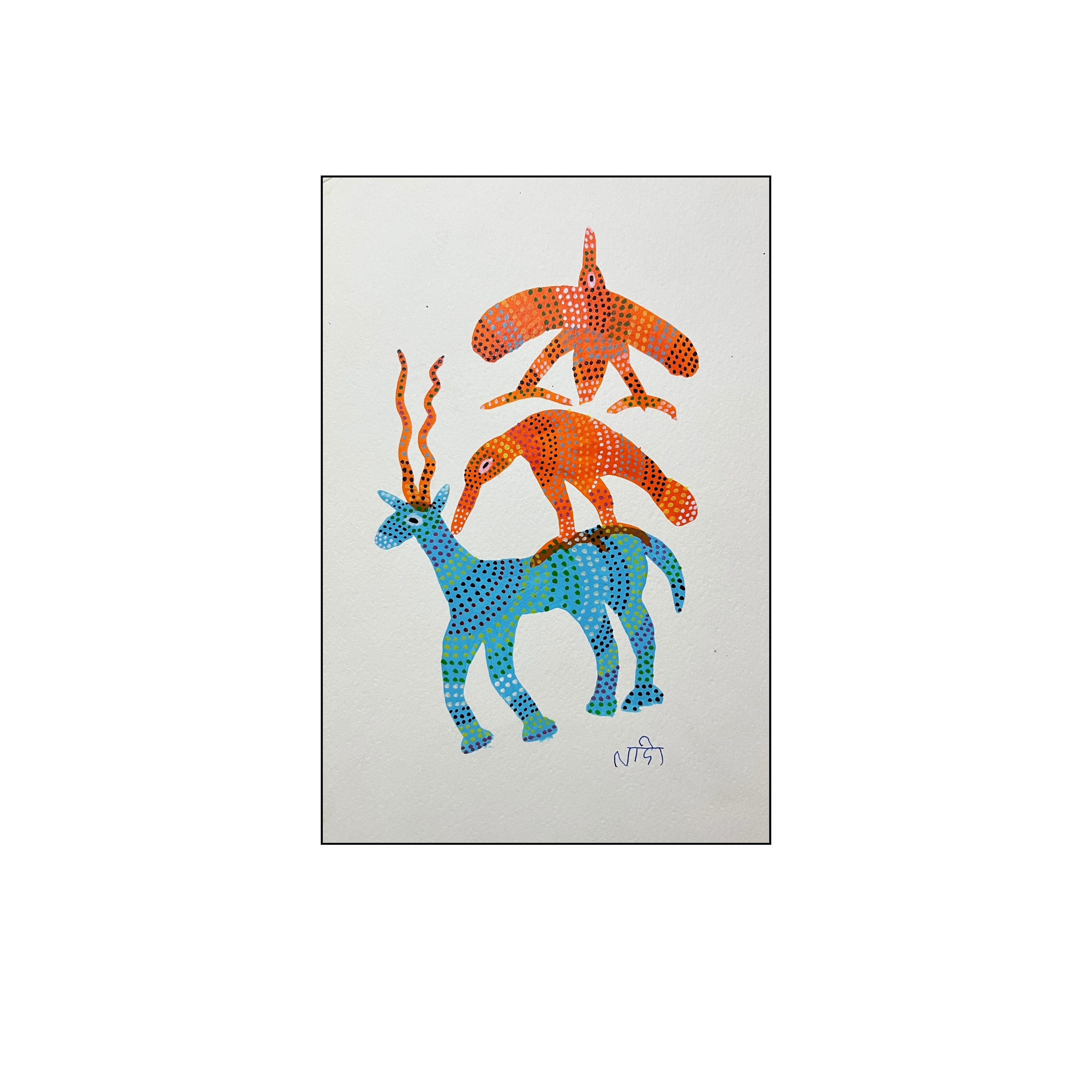 Inter-Relationship of Animals