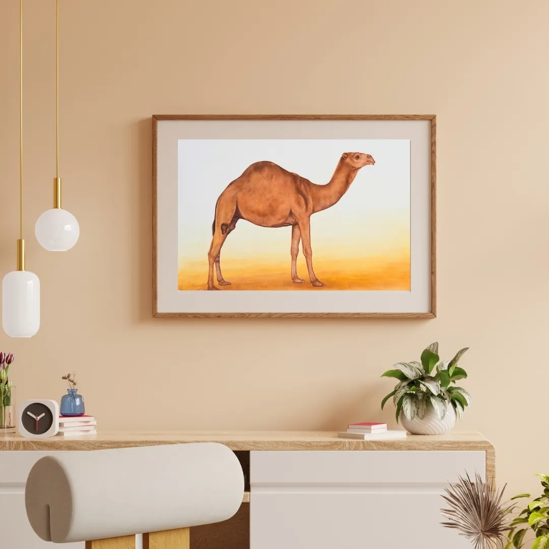 Desert Grace 