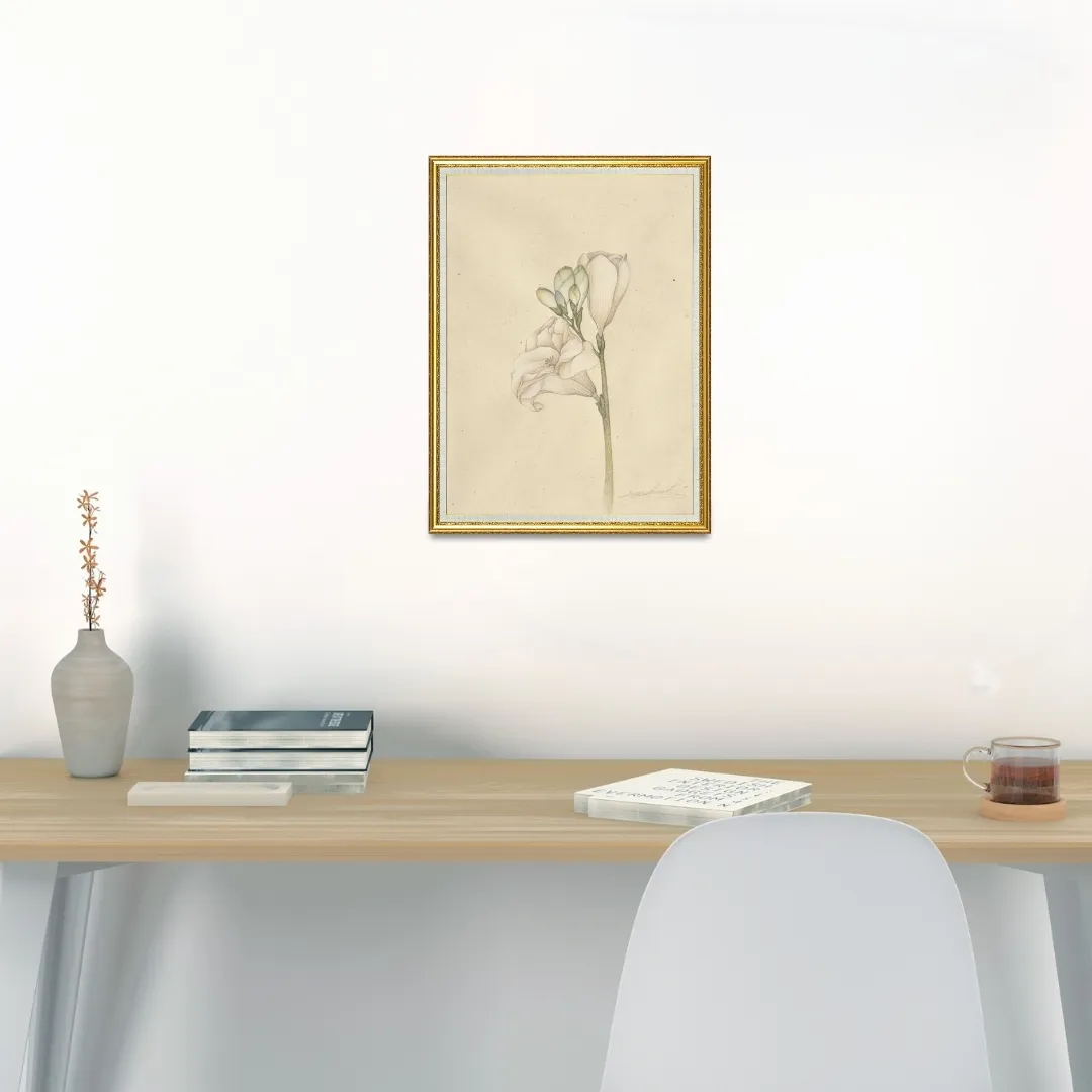 Freesia IV