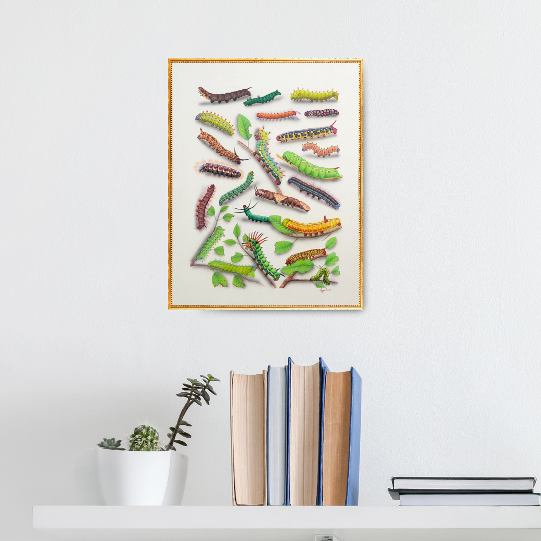 Patterns in Motion Product Image