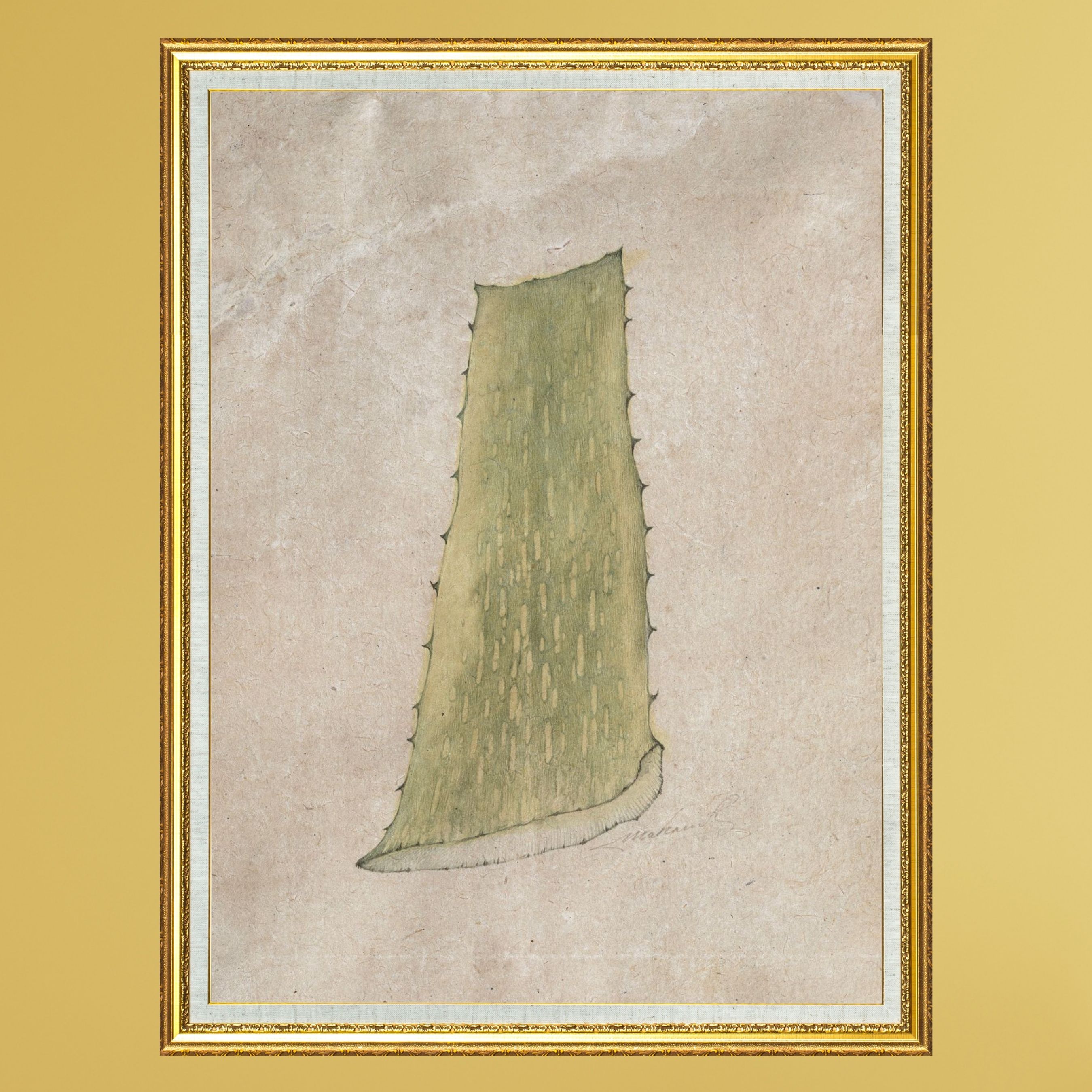 Aloevera