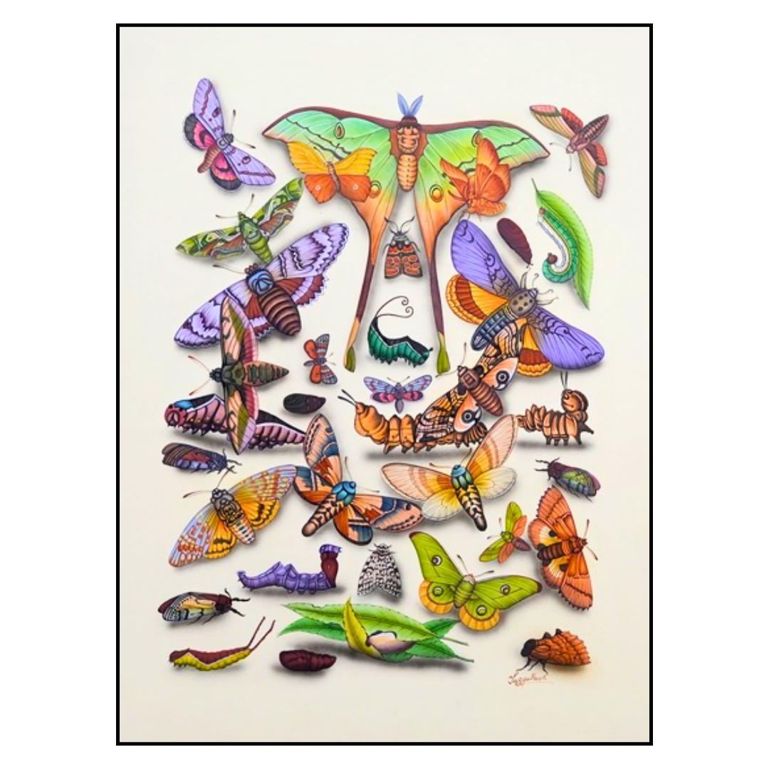 From Ember to Eclipse: Transformation 3