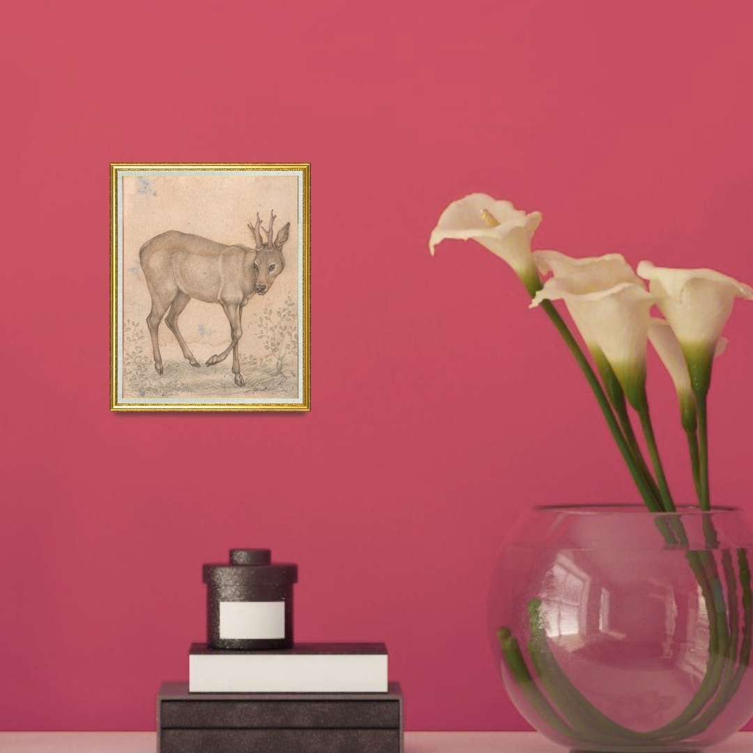 Quiet Steps of the Young Stag