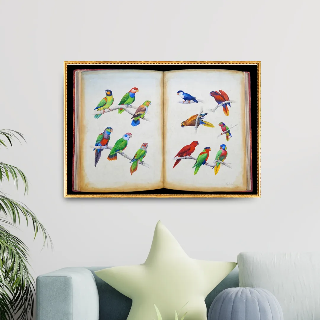 Avian Chronicle - Folio 1