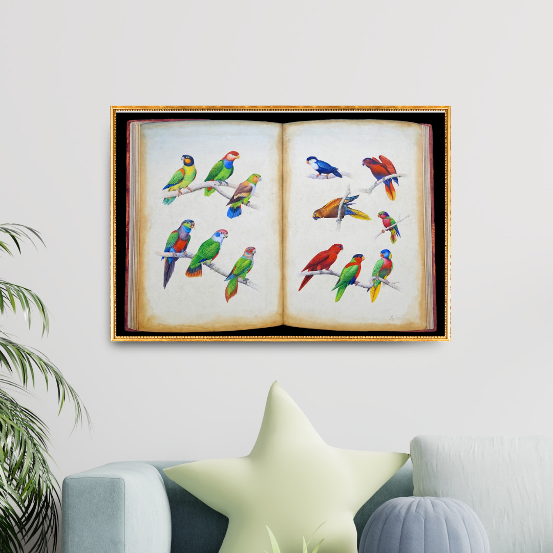 Avian Chronicle - Folio 1