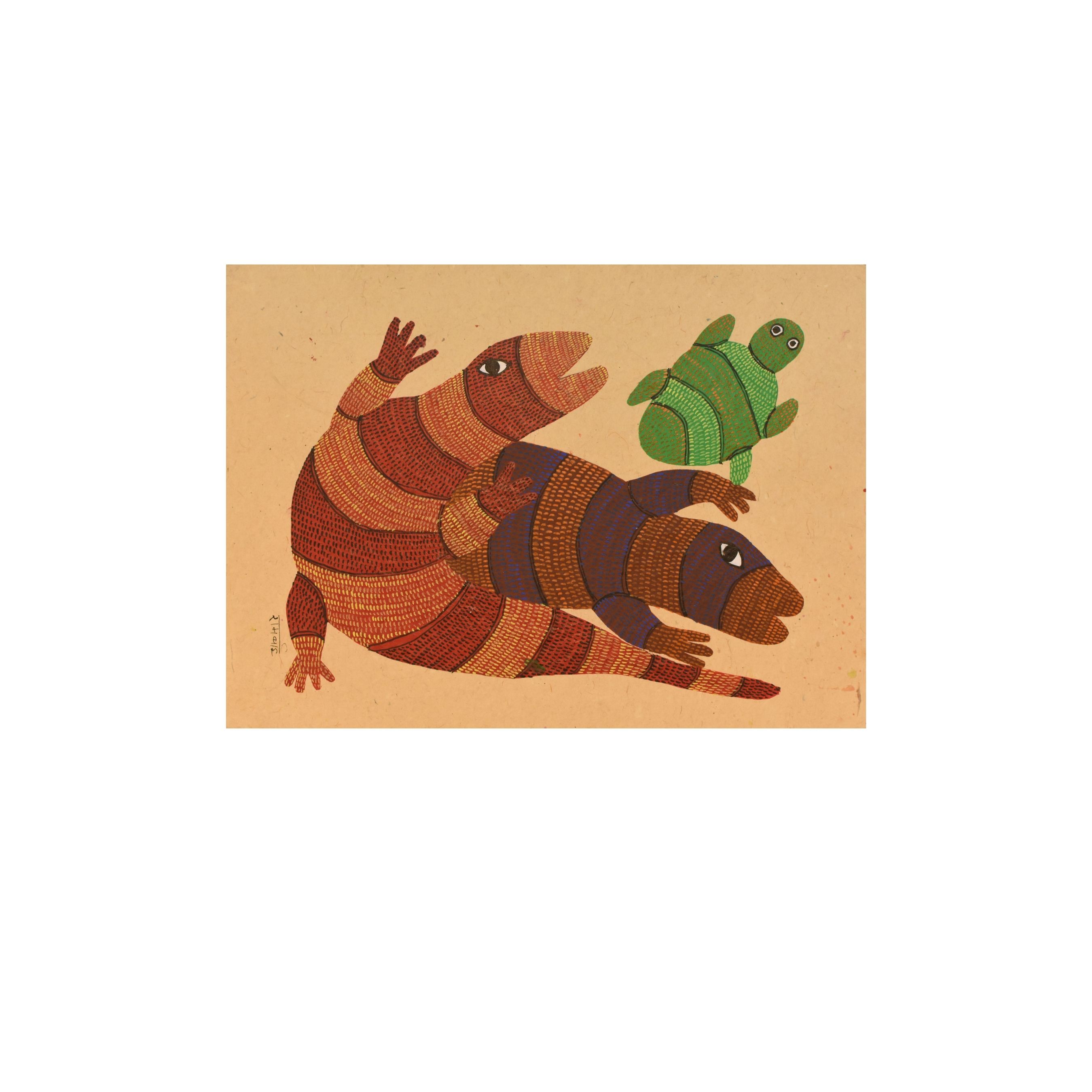 Lizards and Tortoise