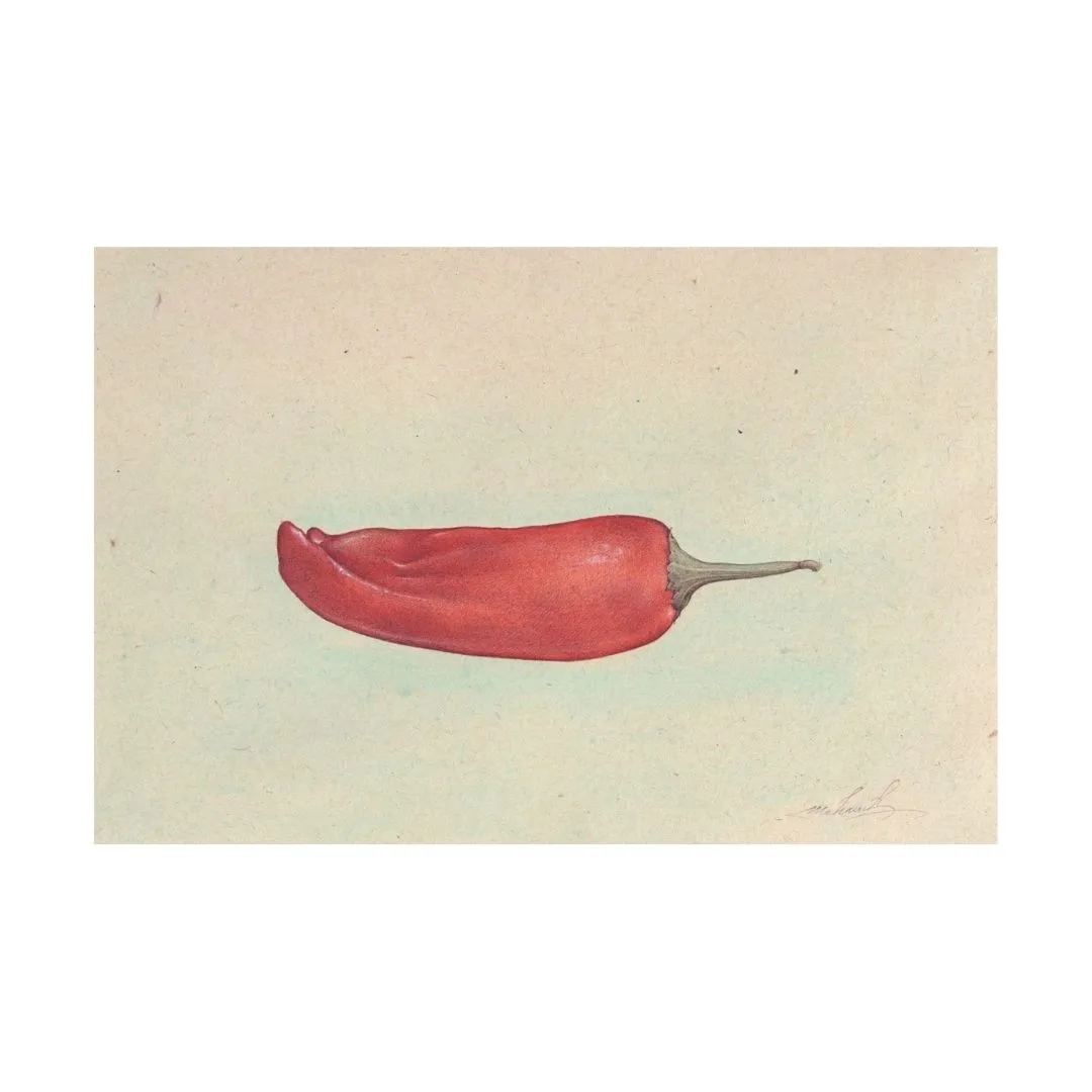Chili Pepper (Capsicum Frutescens)