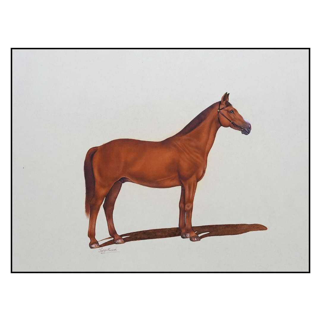 The Brown Silhouette