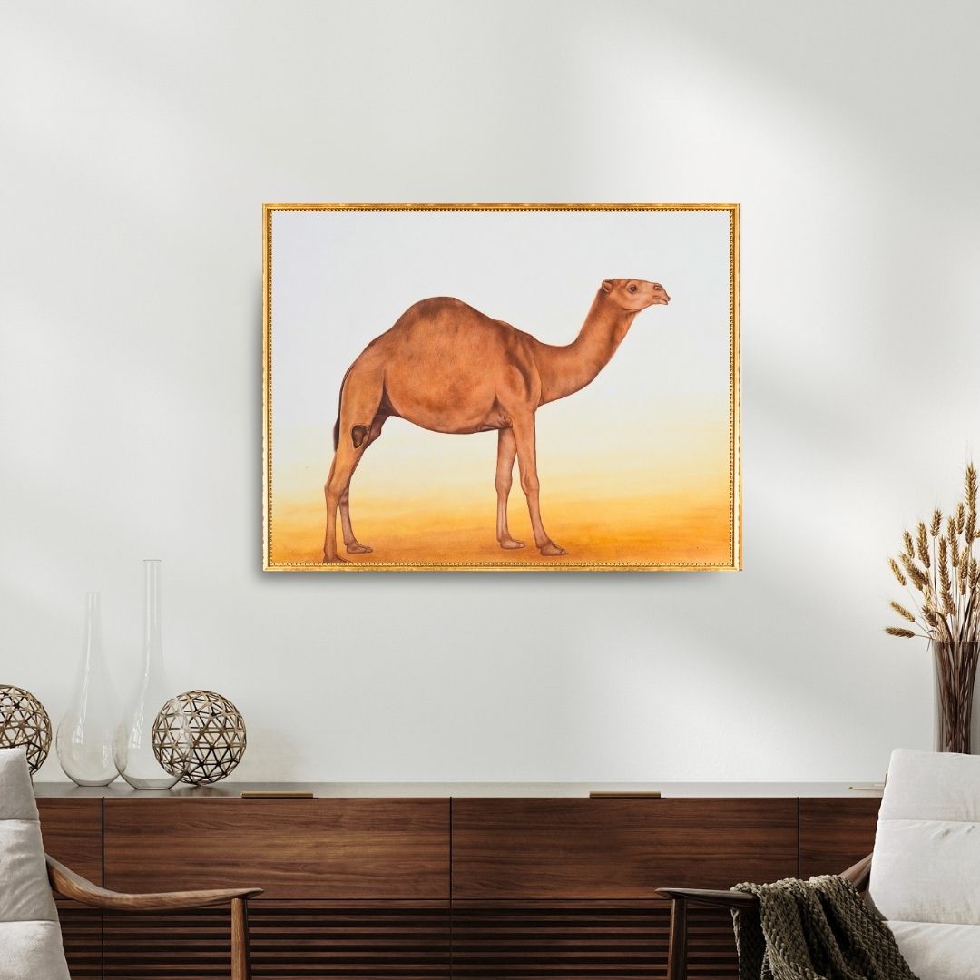 Desert Grace 