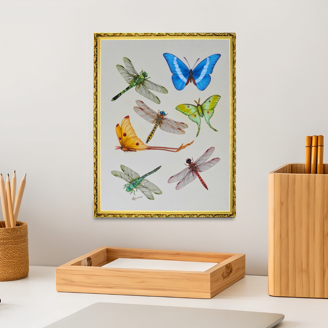 Wings of Wonder Product Image