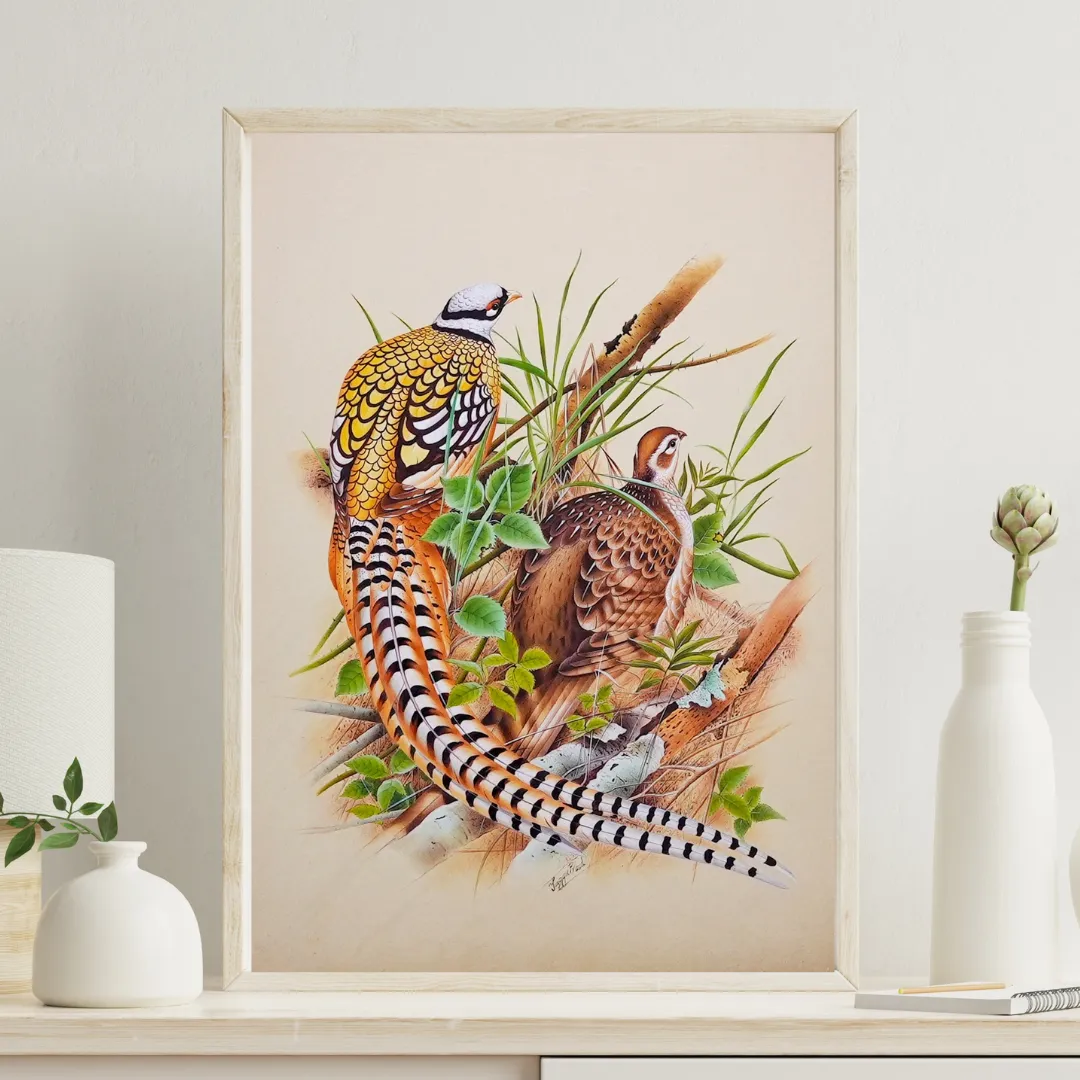 The Poetry of Plumage