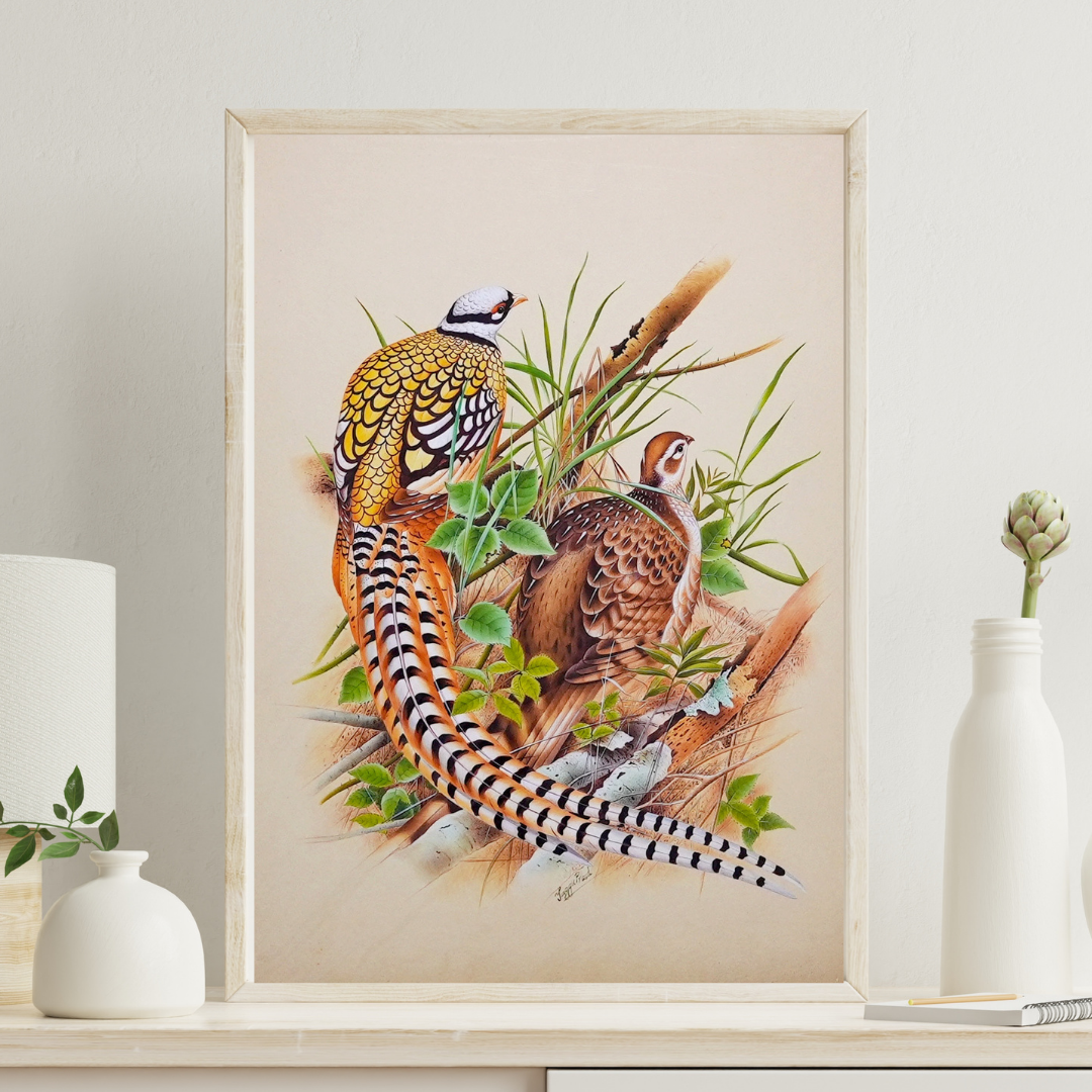 The Poetry of Plumage