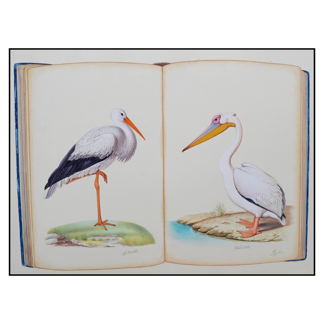 Tales by the Water’s Edge