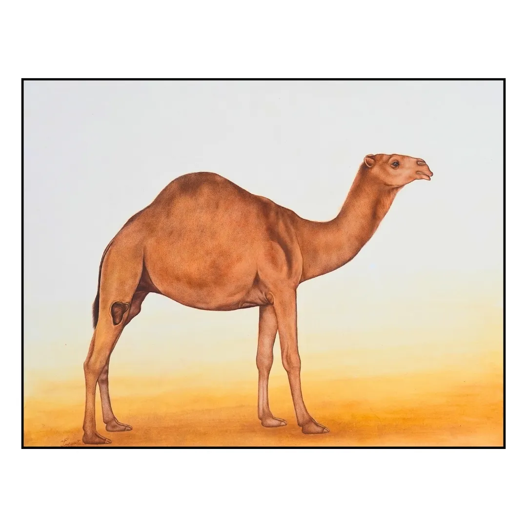 Desert Grace 
