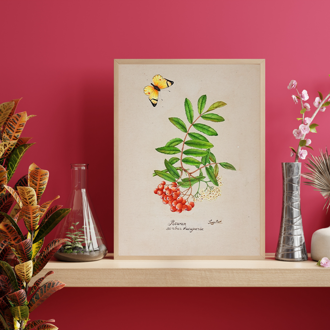 Rowan Branch with Berries