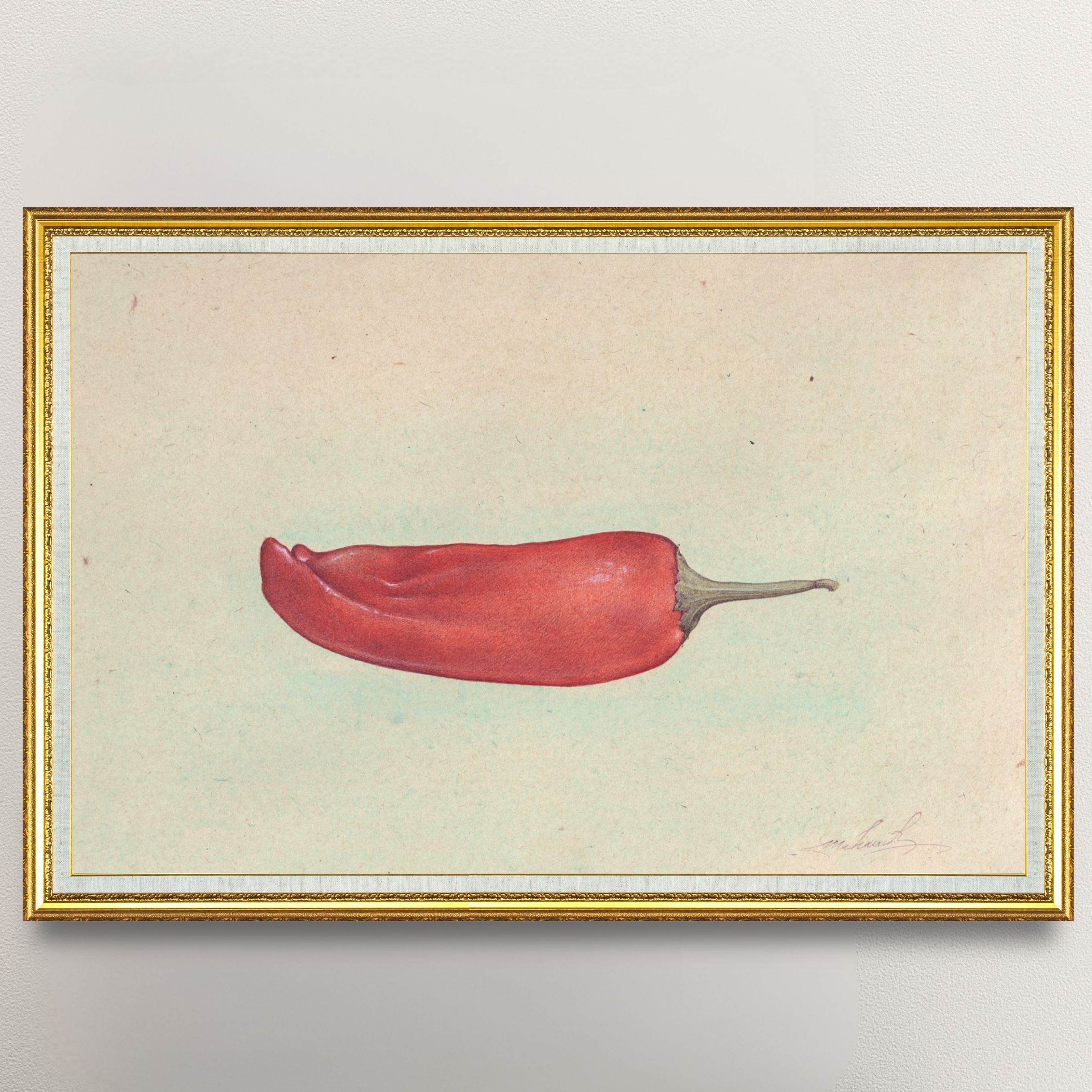 Chili Pepper (Capsicum Frutescens)