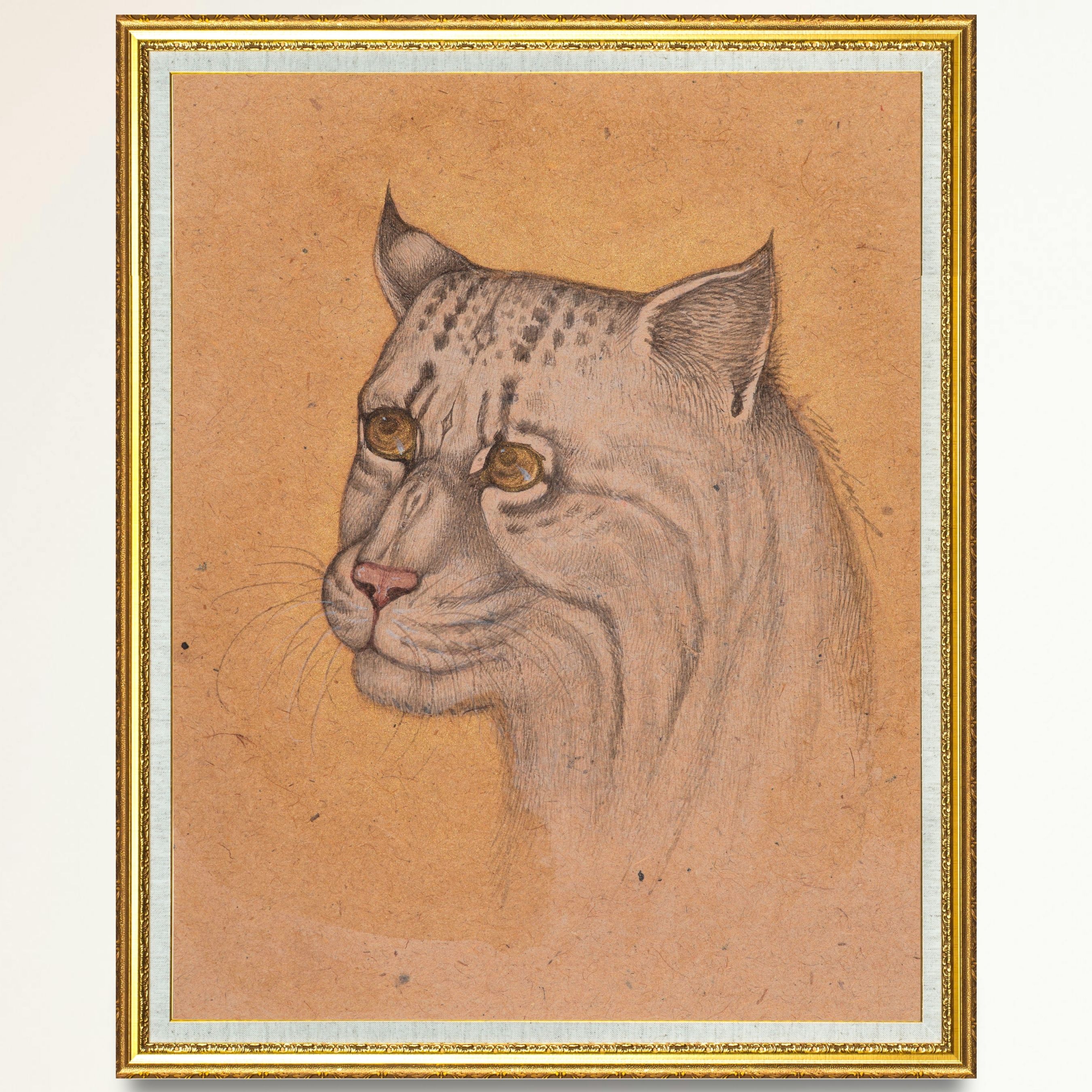 Calm Watch of the Wild Cat