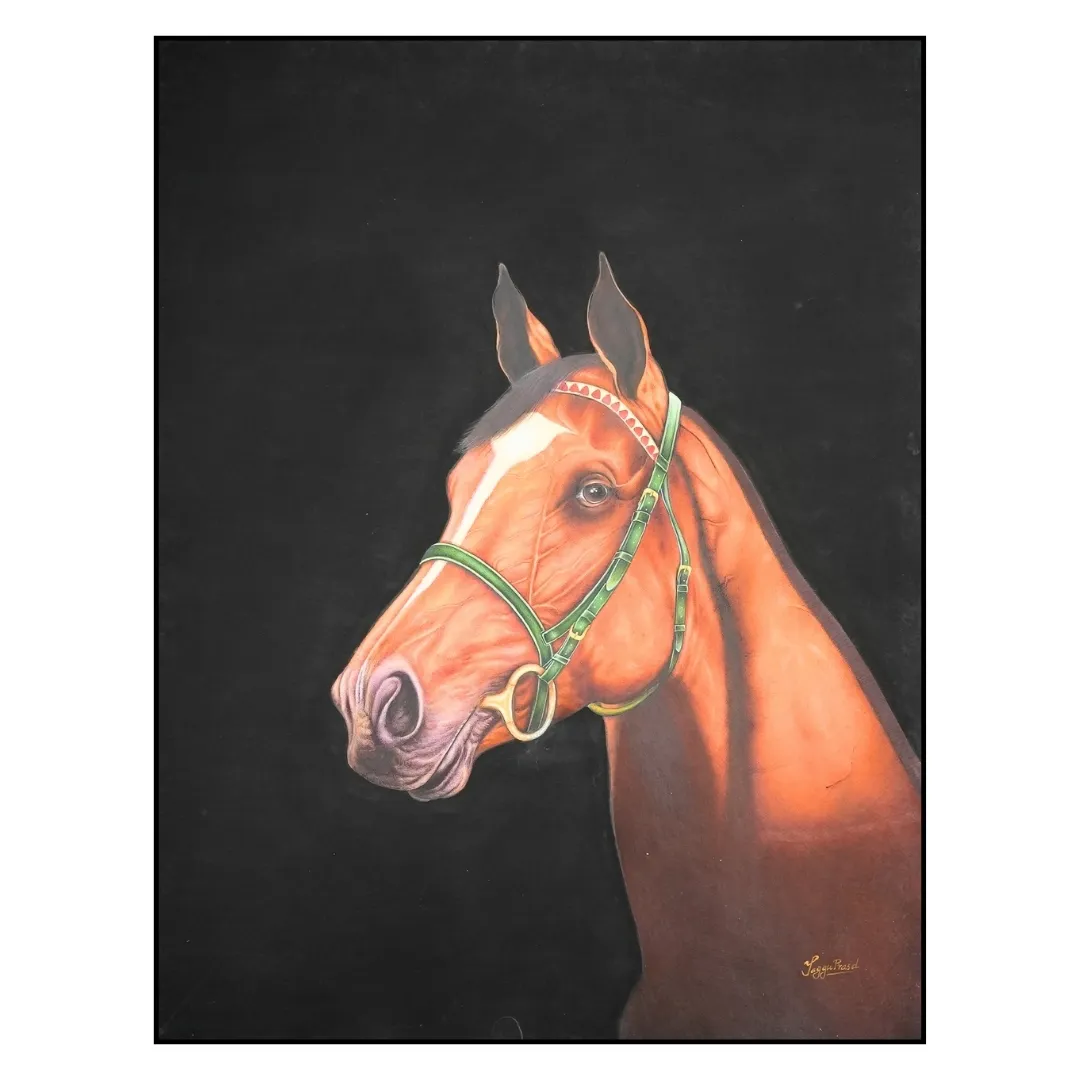 Equine Valor