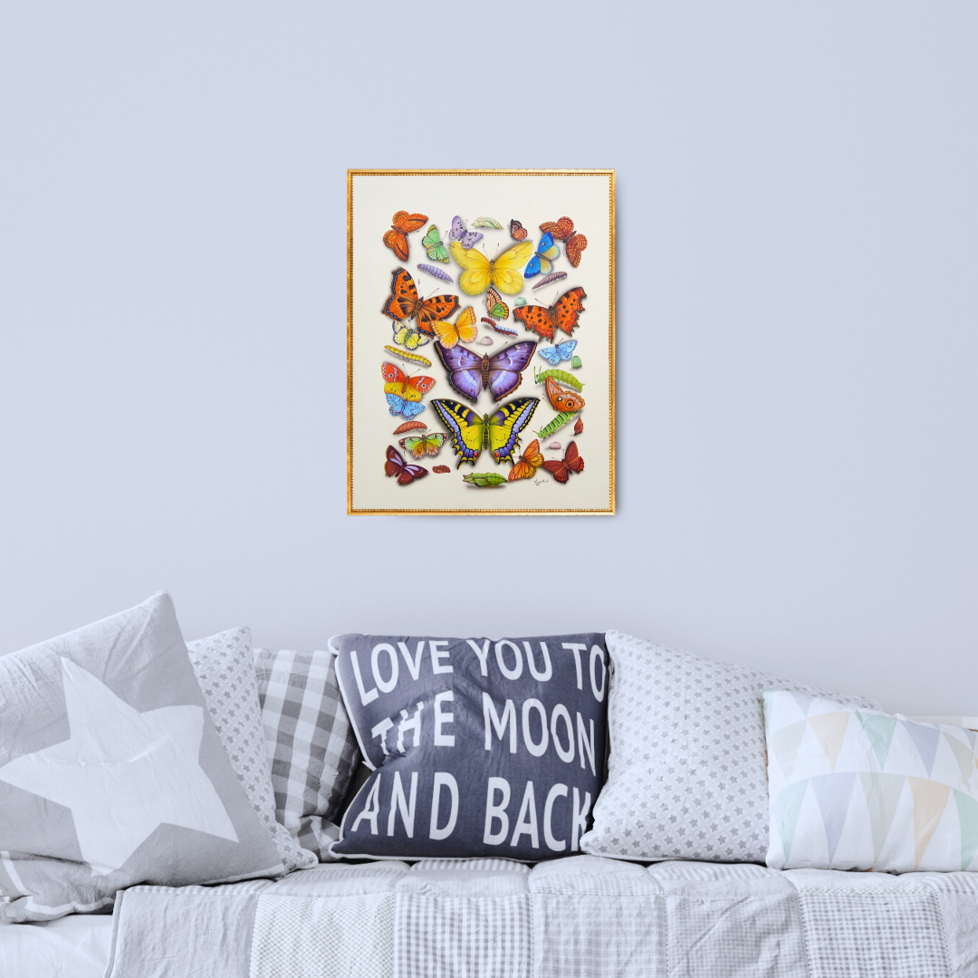 Choreography of Colours