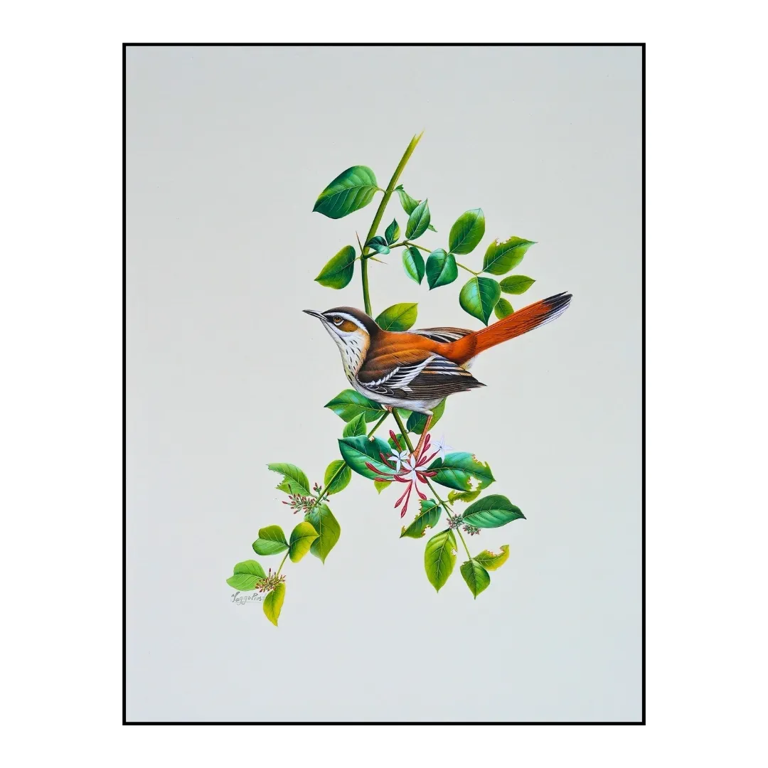 Rustleaf Whisper 