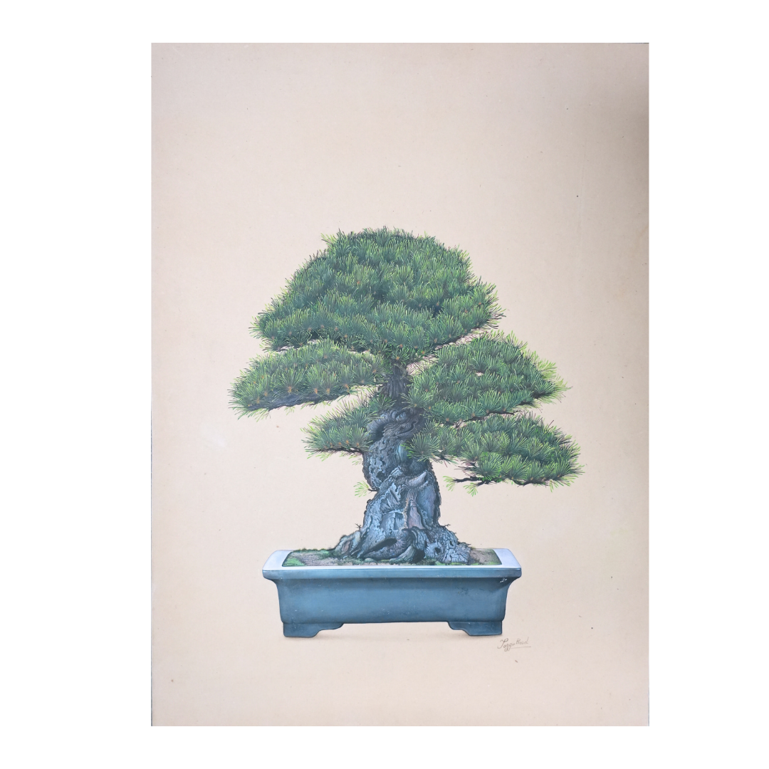 Bonsai I