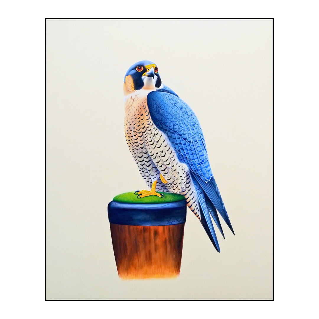 The Heart of Glory: Falcon Folio 4