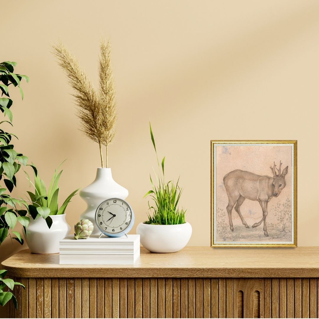 Quiet Steps of the Young Stag