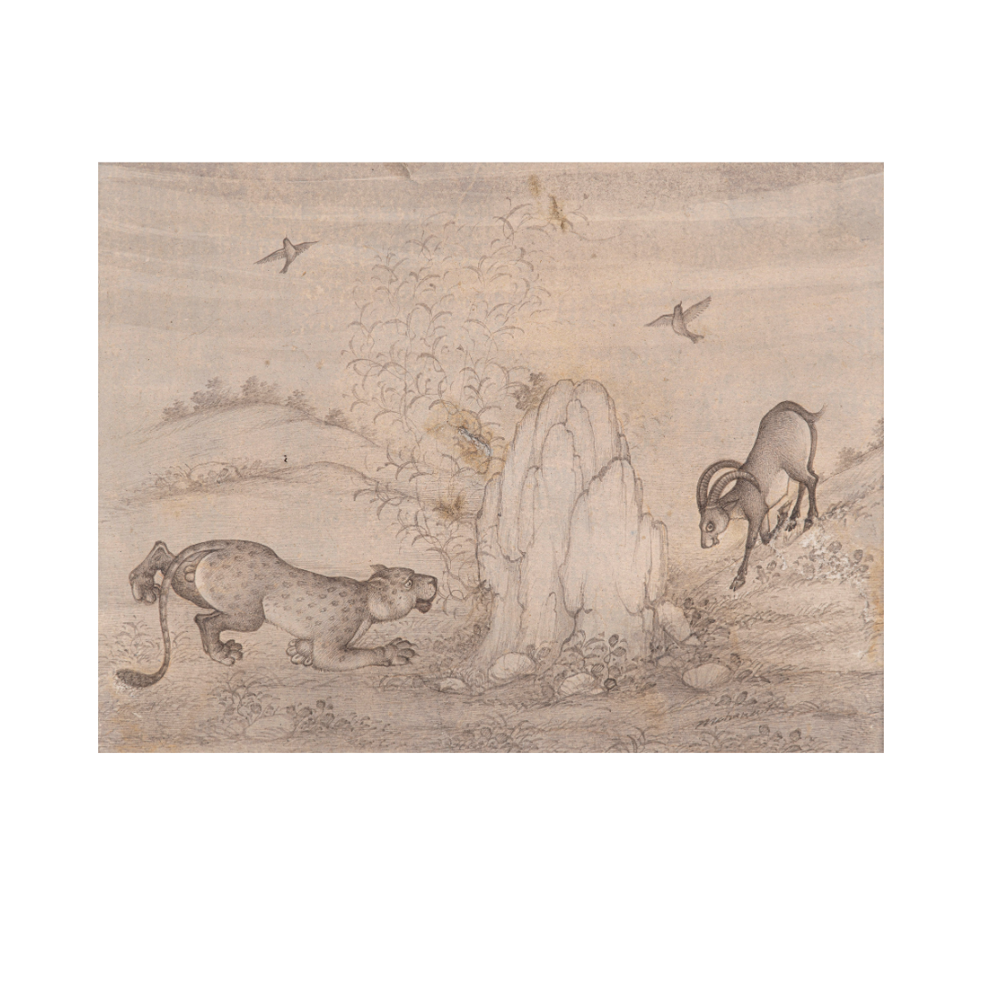 Stalk in the Quiet Hills