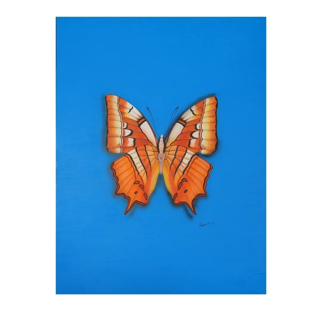 Amber Wings 