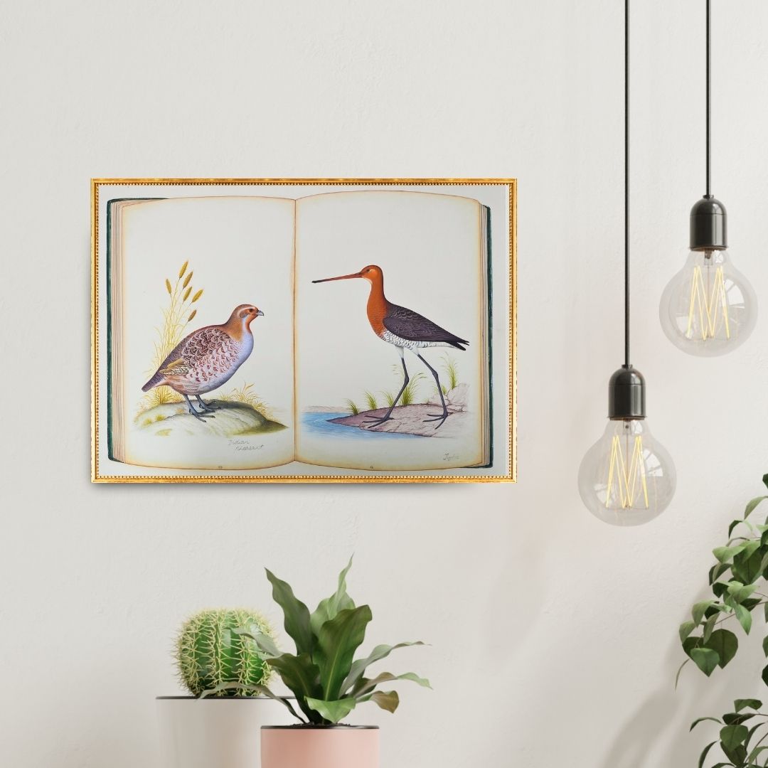 The Naturalists Journal Product Image