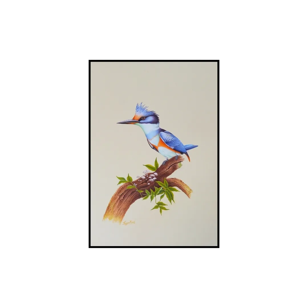 Kingfisher Perch Study