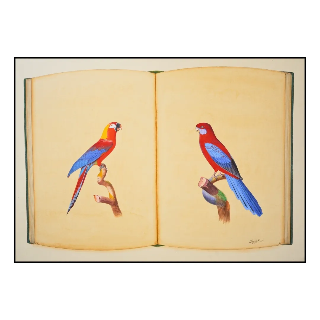 Crimson Reflections