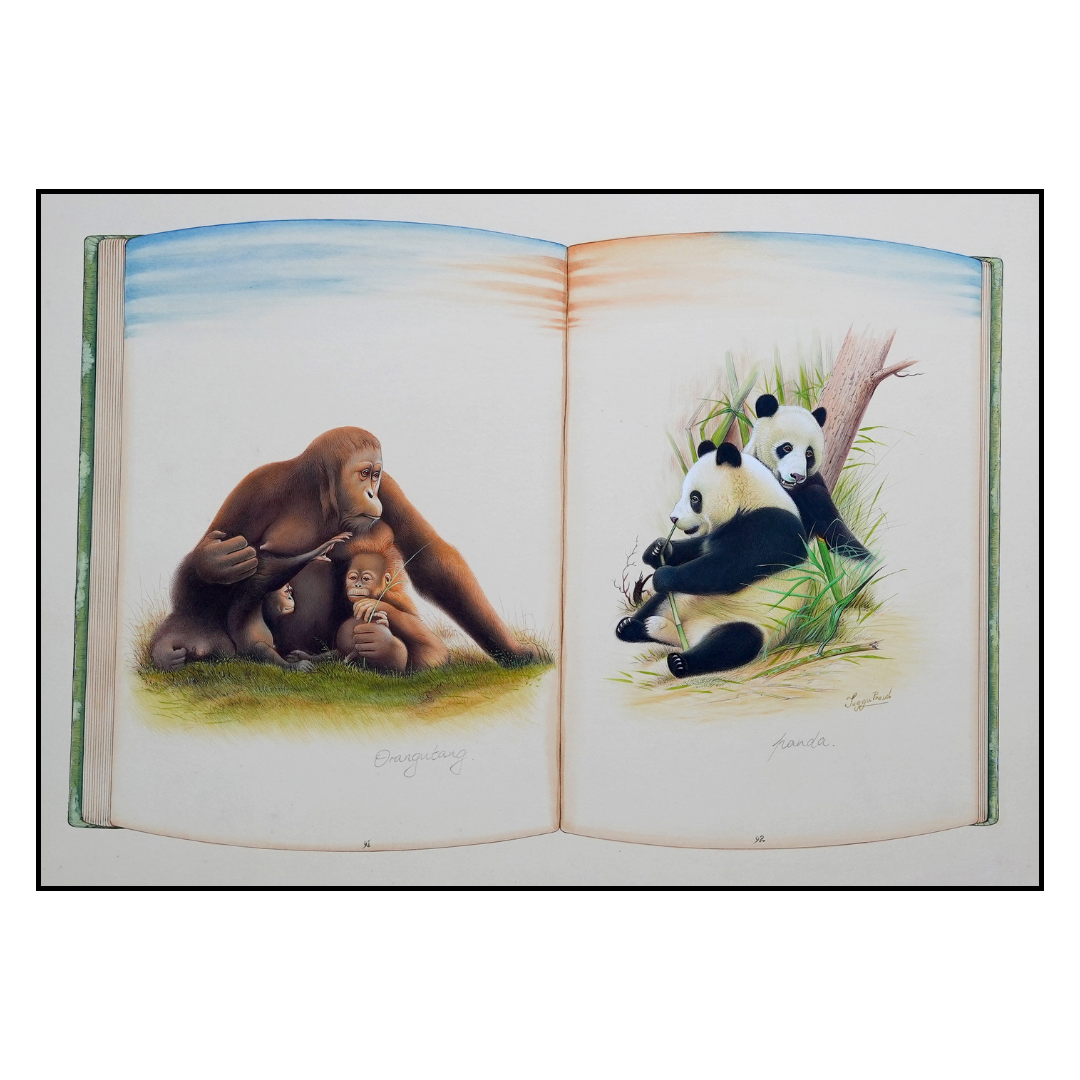 Pure Love and Comfort